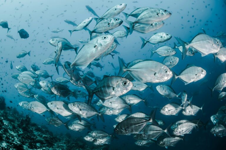 〜初めての釣り〜　最初に押さえる必須項目‼︎